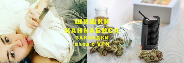 дмт Касимов