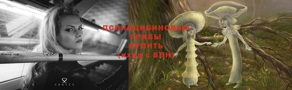 спиды Карпинск