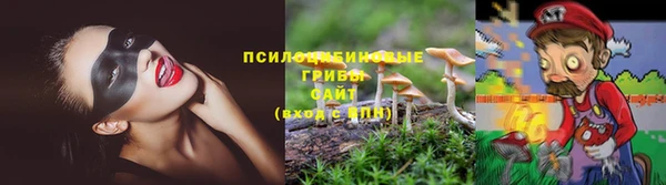 дмт Касимов