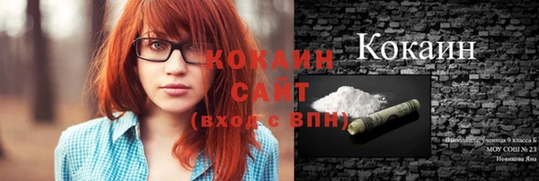 дмт Касимов