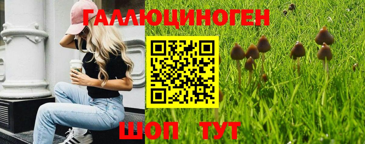 Псилоцибиновые грибы мицелий Клинцы