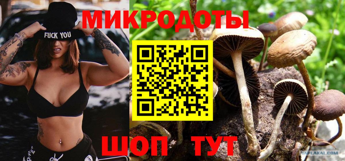 Галлюциногенные грибы мухоморы  продажа наркотиков  Клинцы  Вход с VPN  Псилоцибиновые грибы GOLDEN TEACHER 