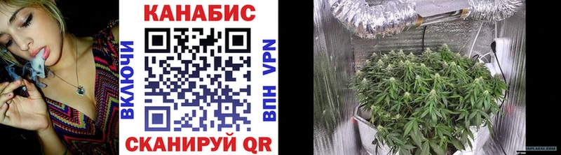 Каннабис ГИДРОПОН  Клинцы 